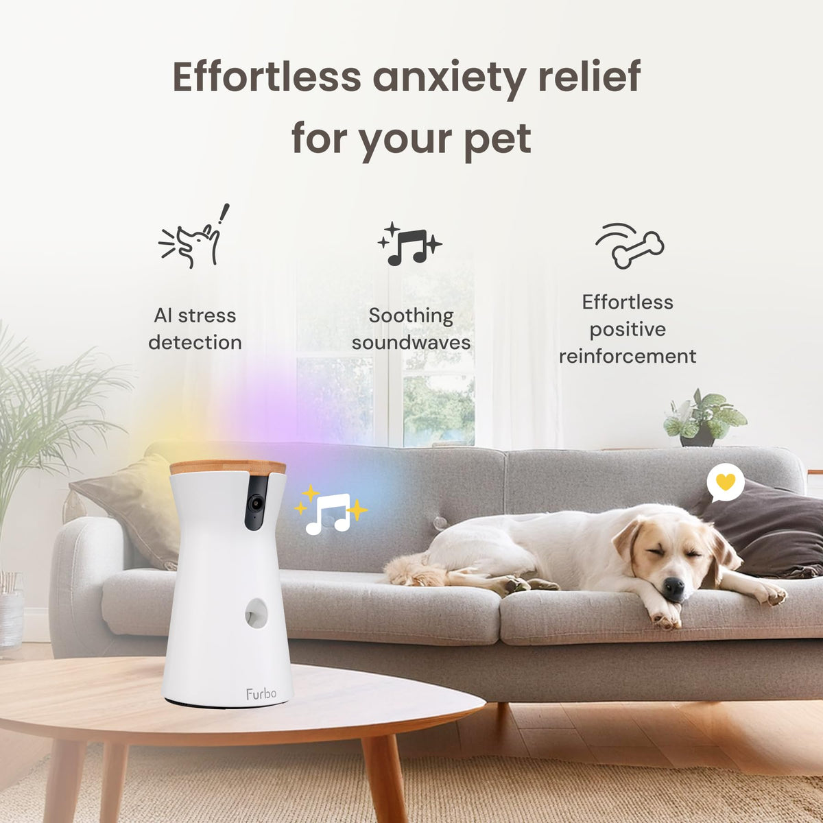 Furbo 360° Pet Camera w/Home Safety Package [PREMIUM W/SUBSCRPITION] Smart Pet Monitor w/App for Pet & Home, Rotating 360° View, Colour Night Vision, Auto-Tracking, Treat-toss, Barking, Smart Alert - Sayby’s