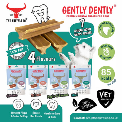 Gently Dently- Chicken Dental Treats for Dogs 175g - Sayby’s