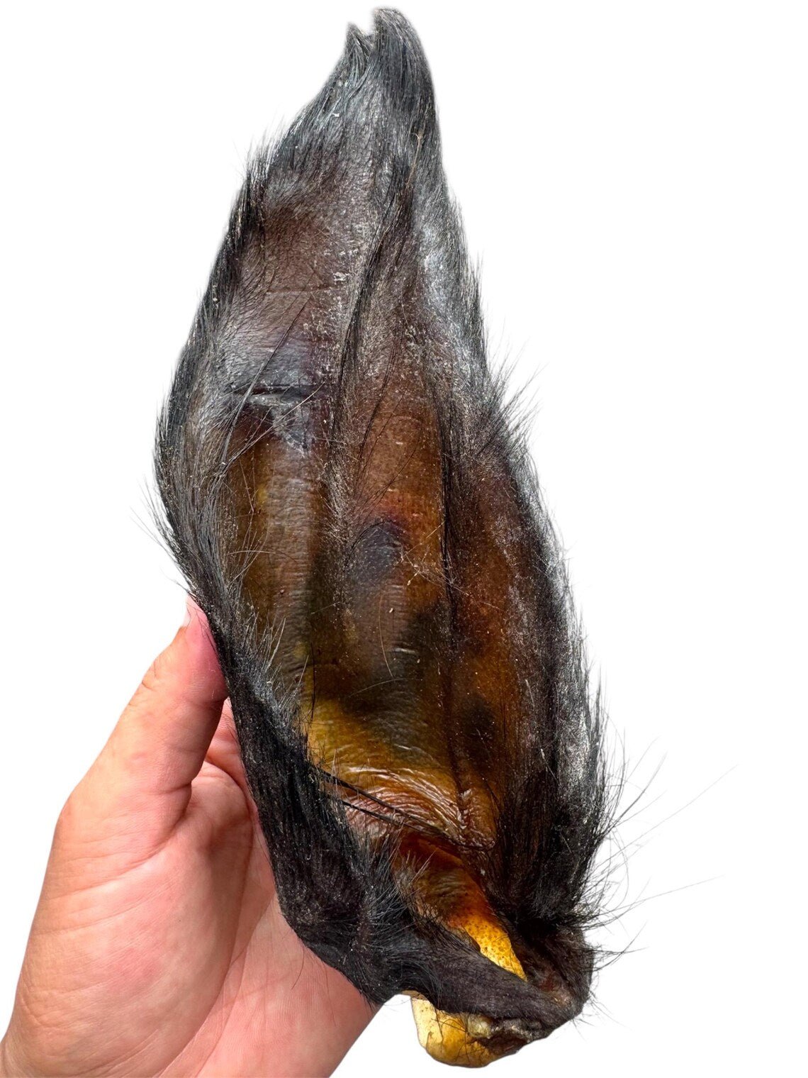 Hairy Buffalo Ears with Meat - 50 Ears - Sayby’s