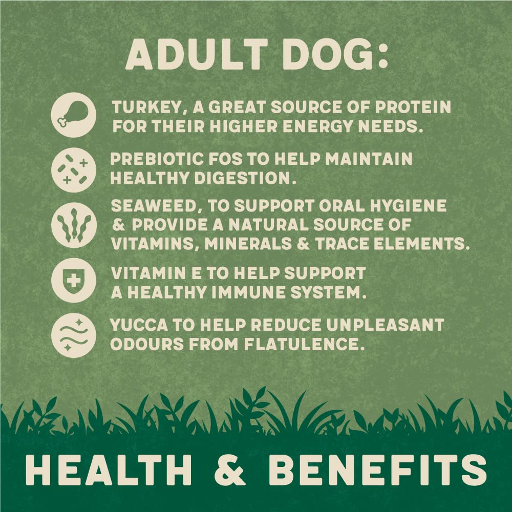 Harringtons Complete Dry Dog Food - Made with All Natural Ingredients - Sayby’s