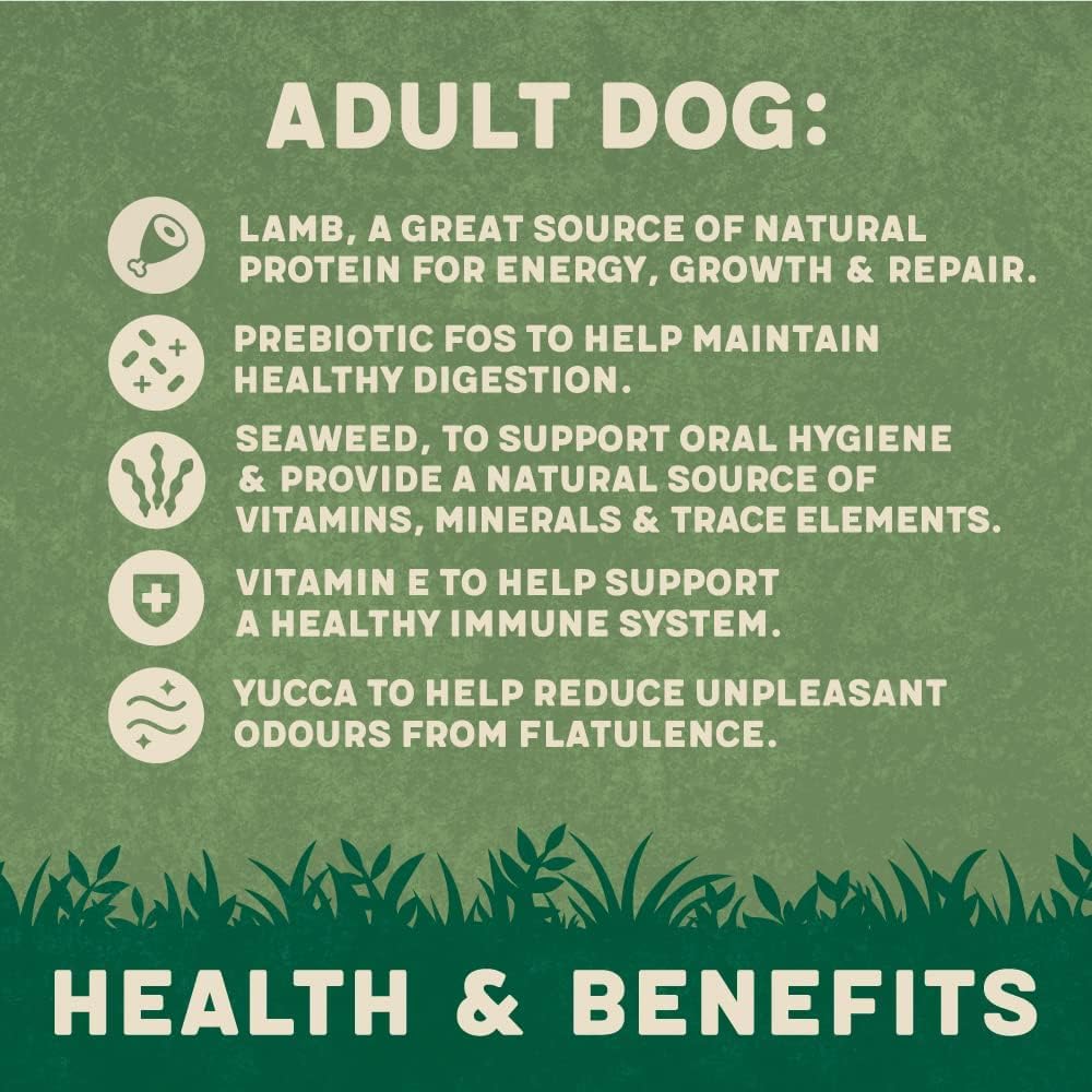 Harringtons Complete Dry Dog Food - Made with All Natural Ingredients - Sayby’s