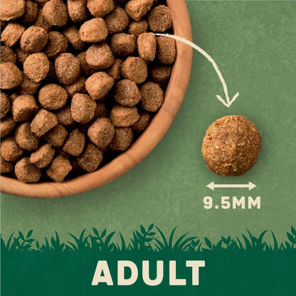 Harringtons Complete Dry Dog Food - Made with All Natural Ingredients - Sayby’s
