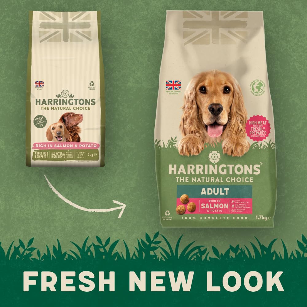 Harringtons Complete Dry Dog Food - Made with All Natural Ingredients - Sayby’s