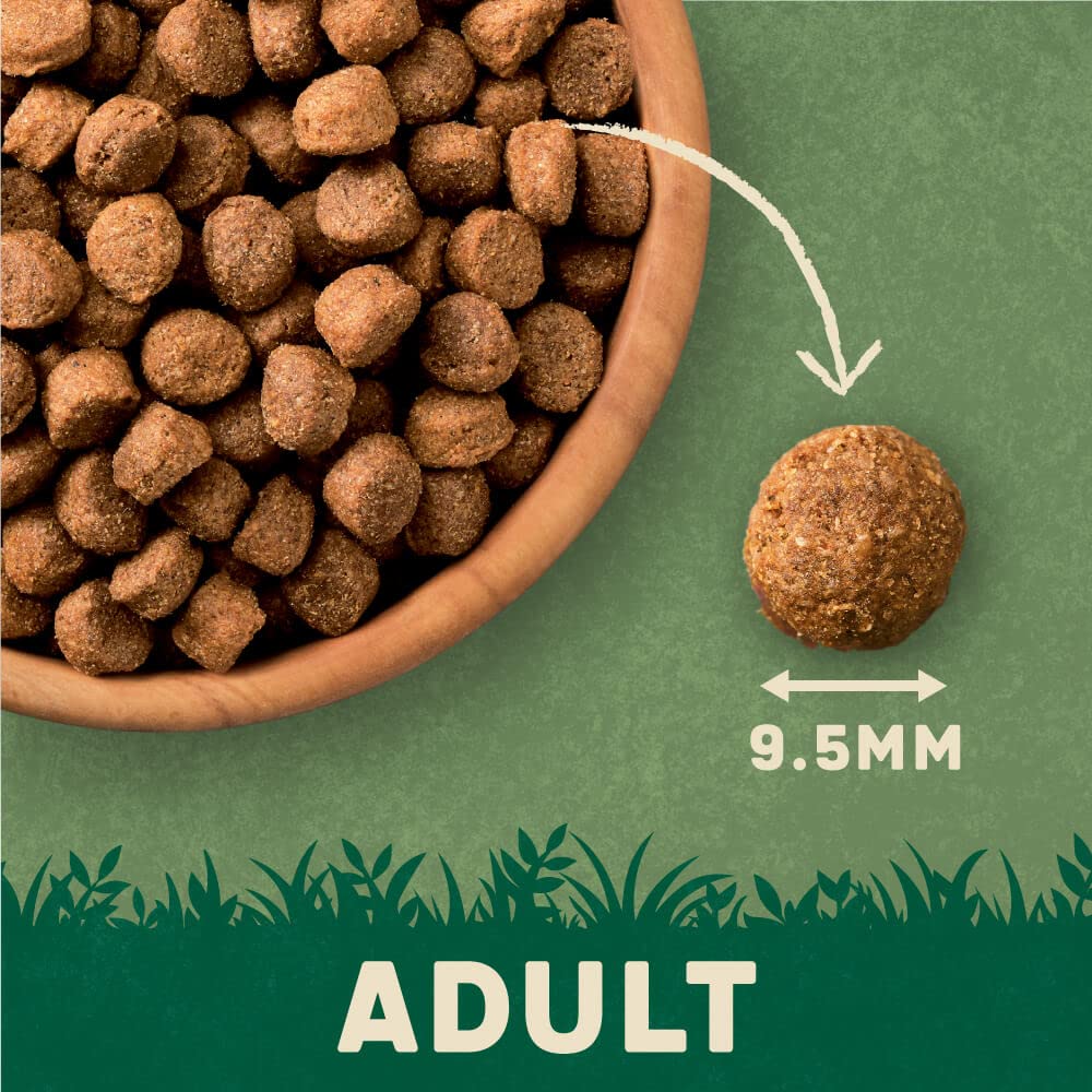 Harringtons Complete Dry Dog Food - Made with All Natural Ingredients - Sayby’s