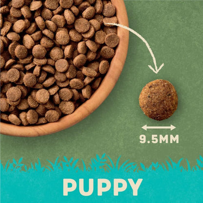 Harringtons Complete Dry Dog Food - Made with All Natural Ingredients - Sayby’s