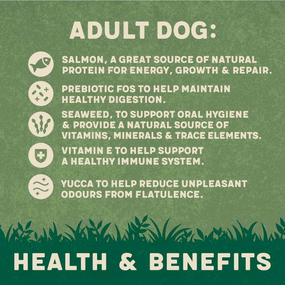 Harringtons Complete Dry Dog Food - Made with All Natural Ingredients - Sayby’s