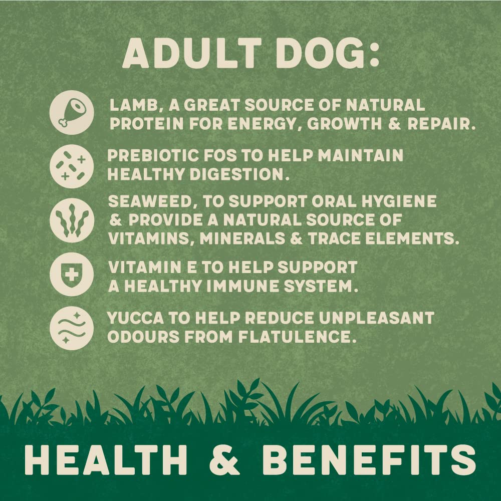 Harringtons Complete Dry Dog Food - Made with All Natural Ingredients - Sayby’s