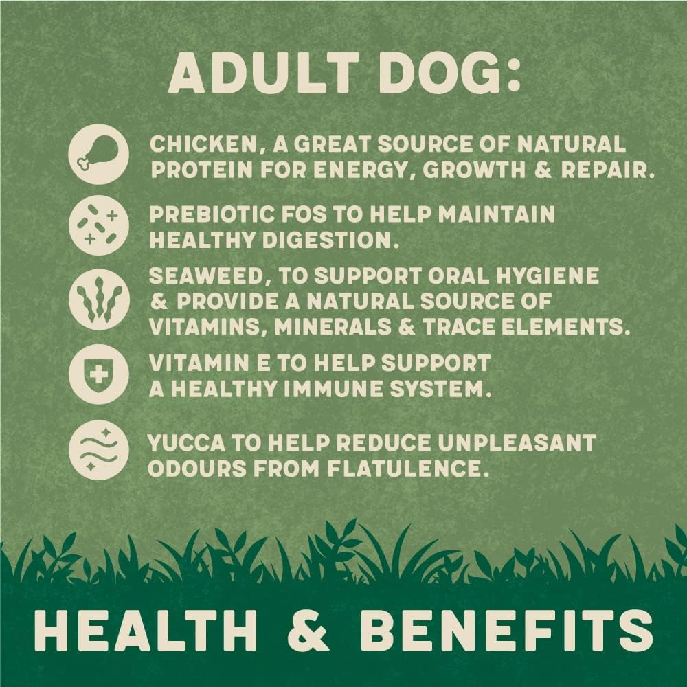 Harringtons Complete Dry Dog Food - Made with All Natural Ingredients - Sayby’s