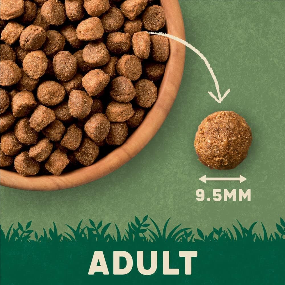 Harringtons Complete Dry Dog Food - Made with All Natural Ingredients - Sayby’s