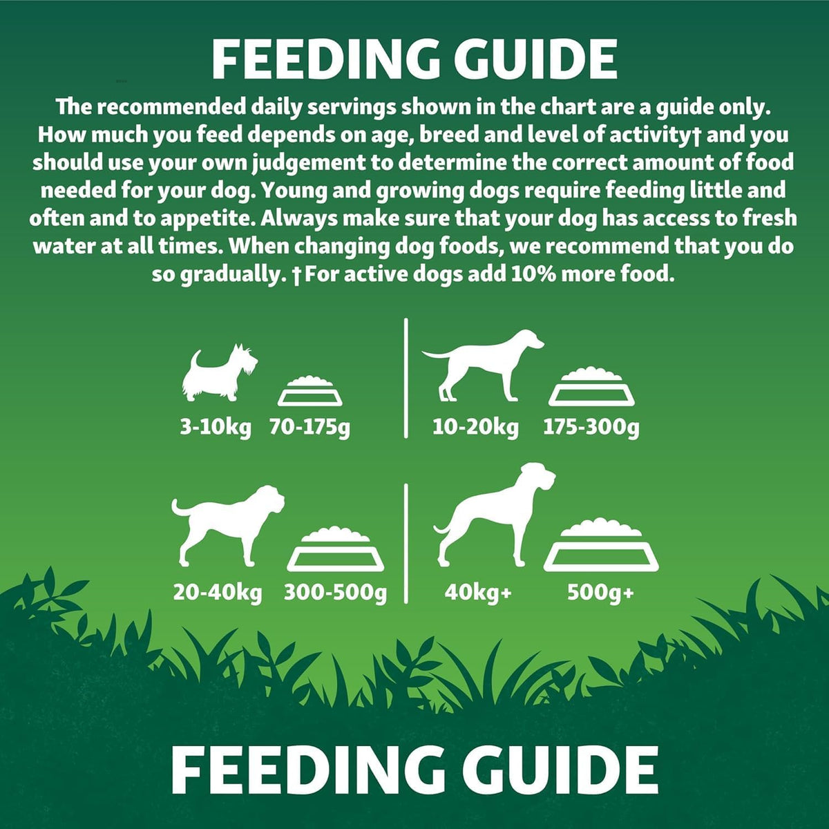 Harringtons Superfoods Complete Grain Free Dry Adult Dog Food Chicken with Veg 1.7kg (Pack of 4) - Made with All Natural Ingredients (Packaging may vary) - Sayby’s