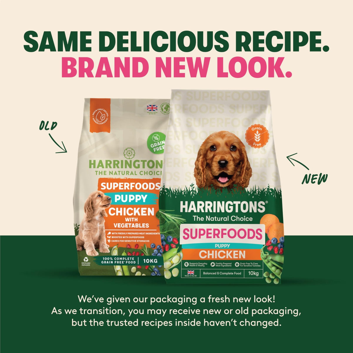 Harringtons Superfoods Complete Grain Free Dry Adult Dog Food Chicken with Veg 1.7kg (Pack of 4) - Made with All Natural Ingredients (Packaging may vary) - Sayby’s