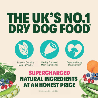Harringtons Superfoods Complete Grain Free Dry Adult Dog Food Chicken with Veg 1.7kg (Pack of 4) - Made with All Natural Ingredients (Packaging may vary) - Sayby’s