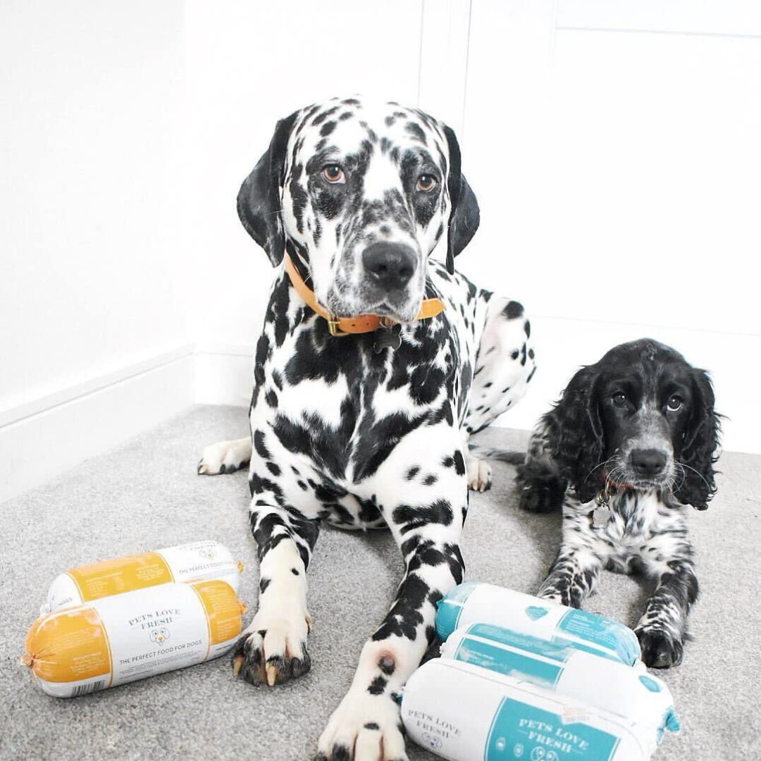 Healthy & Tasty Fresh Dog Food by Pets Love Fresh - 100% Natural - Real British Meat - Zero Preservatives - SimHealthy & Tasty Fresh Dog Food by Pets Love Fresh - 100% Natural - Real British Meat - Zero Preservatives - Simply Chicken (5 x 600g chub rolls) - Sayby’s
