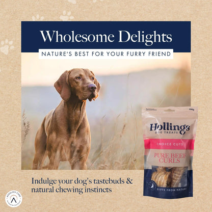 Hollings Beef Curls Dog Treats, All Natural Grain Free & Easily Digestible Air Dried Treats for Adult Dogs, Made From 100% Beef Trachea, 100 g - Sayby’s