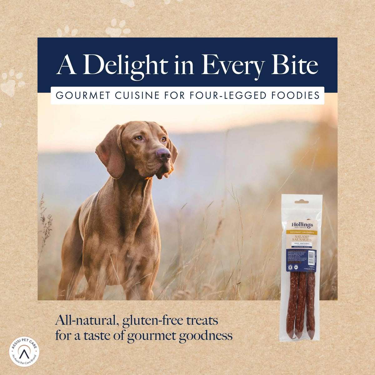 Hollings Chicken Sausages Dog Treats, Delicious, Nutritious Air Dried Chews for Adult Dogs, Made with 100% Natural Ingredients (Pack of 3) - Sayby’s