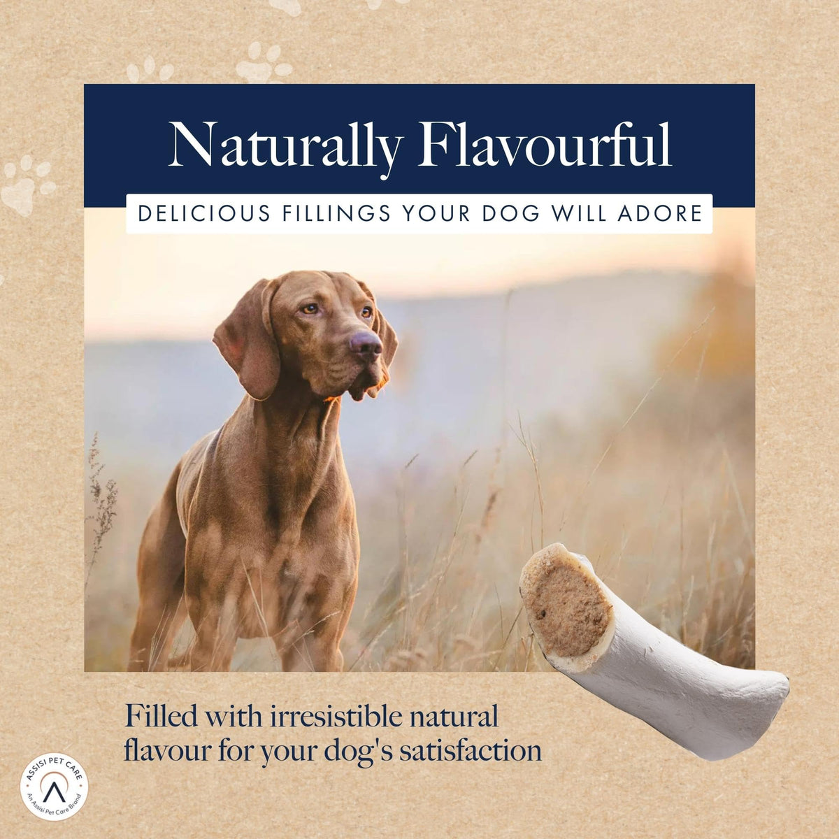 Hollings Filled Bone with Venison Dog Chew, Delicious, Air Dried Long Lasting Bone for Adult Dogs, Made with 100% Natural Ingredients (1 Count) - Sayby’s