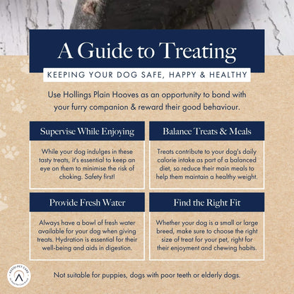 Hollings Filled Hoof with Beef Dog Treat, 100% Natural, Air Dried Long Lasting & Durable Cow Hoof Chew for Adult Dogs, High in Protein (1 Pack) - Sayby’s