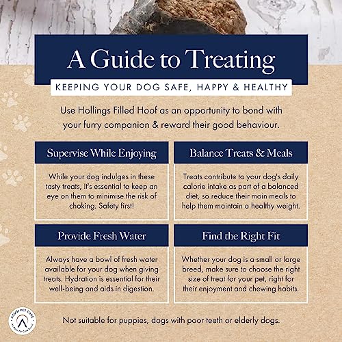 Hollings Filled Hoof with Beef Dog Treat, 100% Natural, Air Dried Long Lasting & Durable Cow Hoof Chew for Adult Dogs, High in Protein (1 Pack) - Sayby’s