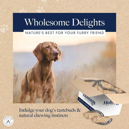 Hollings Filled Hoof with Beef Dog Treat, 100% Natural, Air Dried Long Lasting & Durable Cow Hoof Chew for Adult Dogs, High in Protein (1 Pack) - Sayby’s