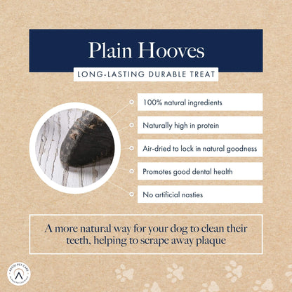 Hollings Filled Hoof with Beef Dog Treat, 100% Natural, Air Dried Long Lasting & Durable Cow Hoof Chew for Adult Dogs, High in Protein (1 Pack) - Sayby’s