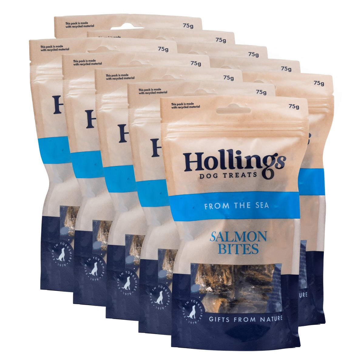 Hollings Whitefish Bites Dog Treats, 100% Natural with Fresh Fish Air Dried Healthy Treats for Dogs, Hypoallergenic and Grain Free (75g) - Sayby’s
