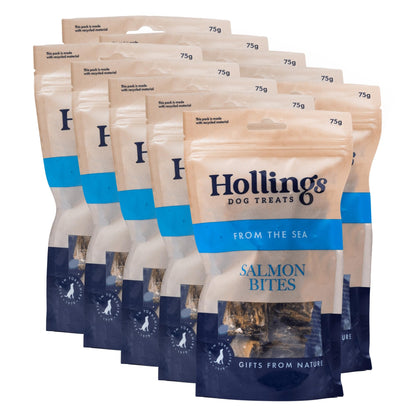 Hollings Whitefish Bites Dog Treats, 100% Natural with Fresh Fish Air Dried Healthy Treats for Dogs, Hypoallergenic and Grain Free (75g) - Sayby’s