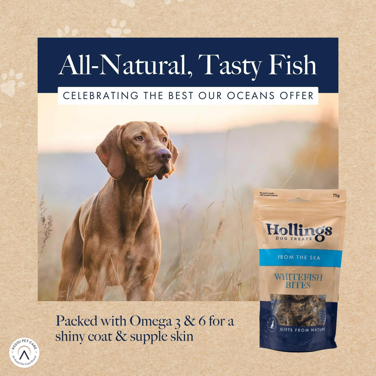 Hollings Whitefish Bites Dog Treats, 100% Natural with Fresh Fish Air Dried Healthy Treats for Dogs, Hypoallergenic and Grain Free (75g) - Sayby’s