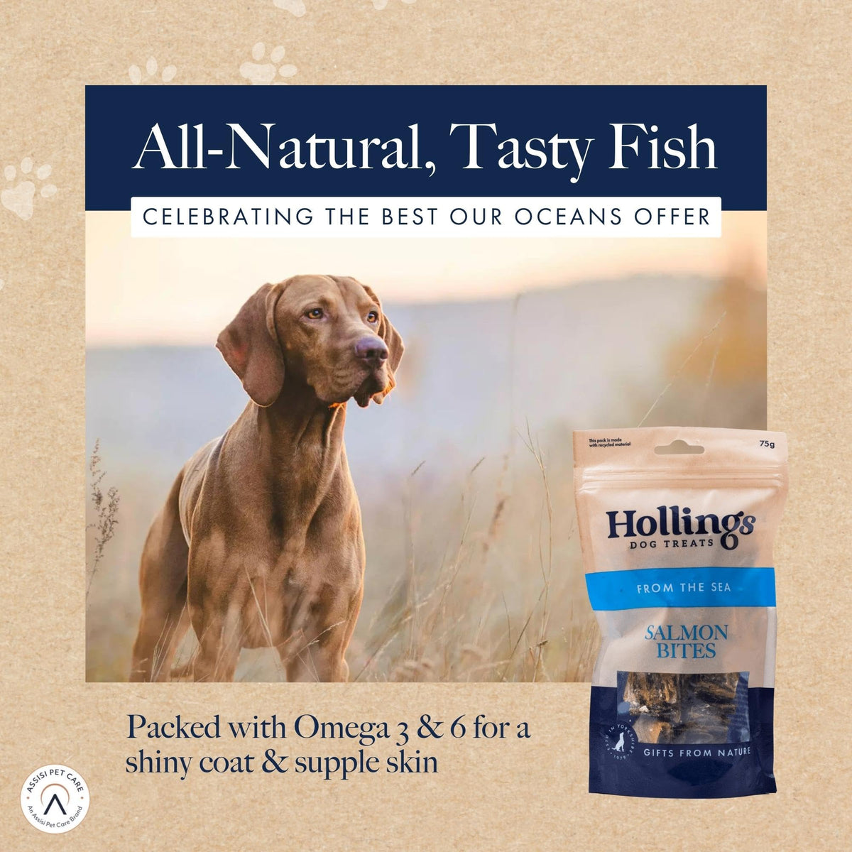 Hollings Whitefish Bites Dog Treats, 100% Natural with Fresh Fish Air Dried Healthy Treats for Dogs, Hypoallergenic and Grain Free (75g) - Sayby’s