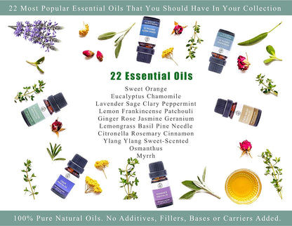 Home Luxury Point - Top 22 Essential Oil Blends – Gift Set - 100% Pure Natural - Pack of 6x10ml Premium Aromatherapy Oils for Diffuser, Oil Burner and Massage-Therapeutic and Relaxing Fragrance - Calm - Sayby’s