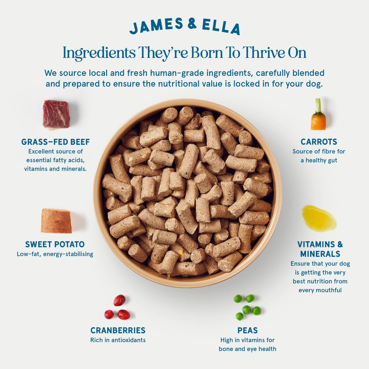 James & Ella Complete Freeze-Dried Raw Dog Food ❘ Free Run Chicken ❘ Freeze-Dried Dog Food, Packed with Protein, Essential Oils & Minerals for Happy, Healthy Dogs, Lightweight & Gluten Free (500g) - Sayby’s