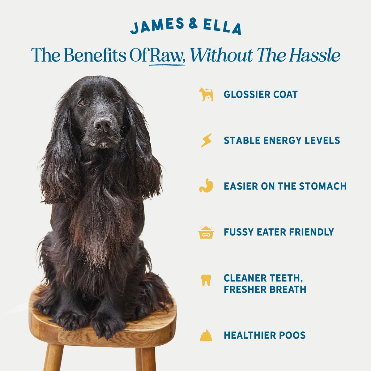 James & Ella Complete Freeze-Dried Raw Dog Food ❘ Free Run Chicken ❘ Freeze-Dried Dog Food, Packed with Protein, Essential Oils & Minerals for Happy, Healthy Dogs, Lightweight & Gluten Free (500g) - Sayby’s