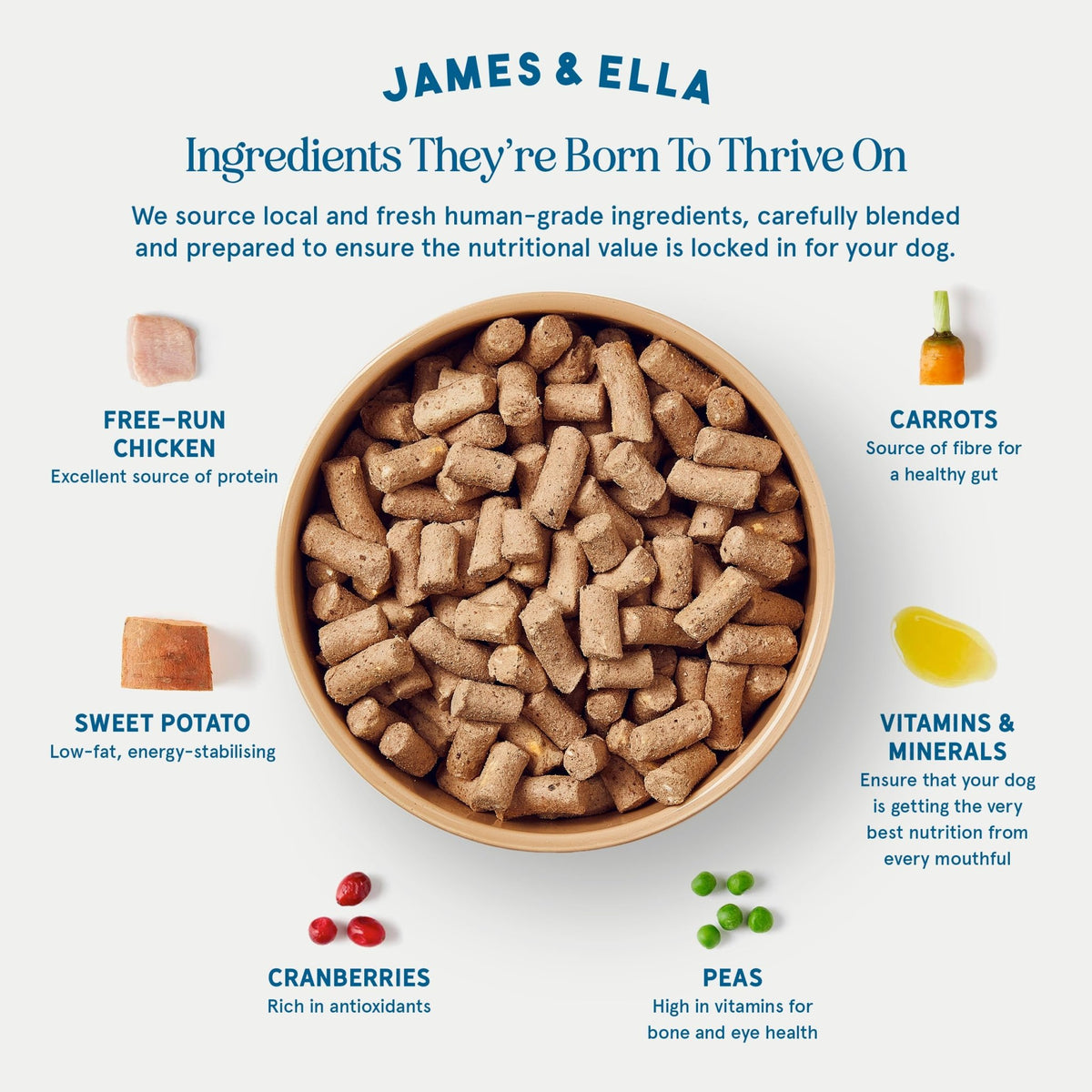 James & Ella Complete Freeze-Dried Raw Dog Food ❘ Free Run Chicken ❘ Freeze-Dried Dog Food, Packed with Protein, Essential Oils & Minerals for Happy, Healthy Dogs, Lightweight & Gluten Free (500g) - Sayby’s