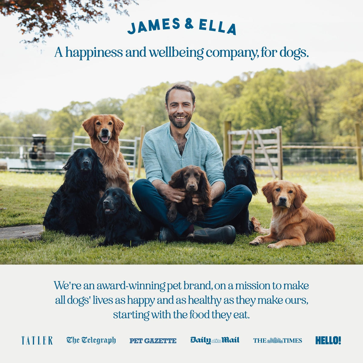 James & Ella Complete Freeze-Dried Raw Dog Food ❘ Free Run Chicken ❘ Freeze-Dried Dog Food, Packed with Protein, Essential Oils & Minerals for Happy, Healthy Dogs, Lightweight & Gluten Free (500g) - Sayby’s
