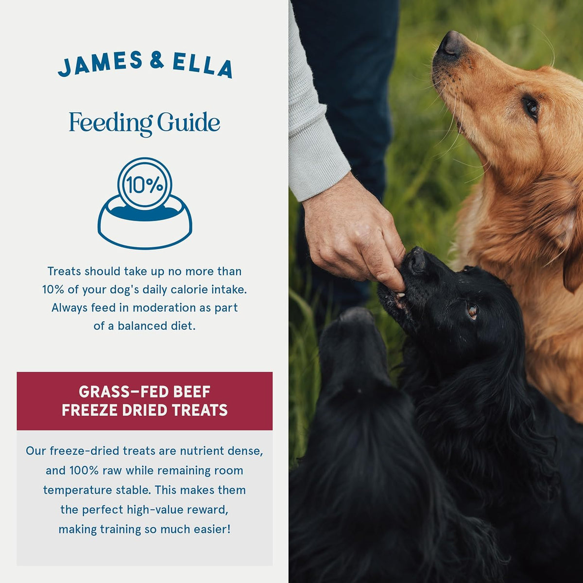 James & Ella Freeze-Dried Dog Treats (40g) ❘ Delicious Country Game Freeze-Dried Dog Treats, Packed with Protein, Essential Oils & Minerals for Happy, Healthy Dogs, Lightweight & Gluten Free - Sayby’s