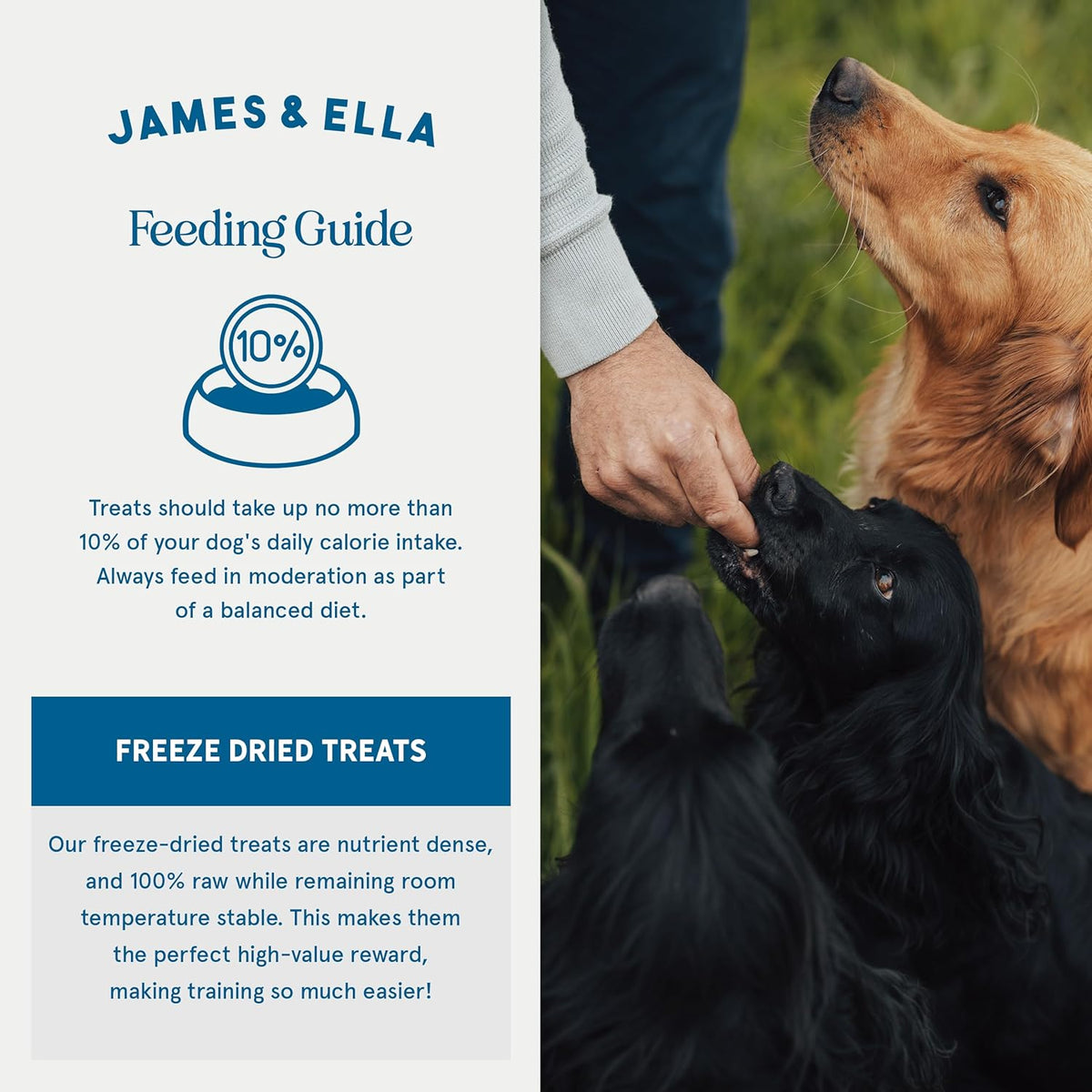 James & Ella Freeze-Dried Dog Treats (40g) ❘ Delicious Country Game Freeze-Dried Dog Treats, Packed with Protein, Essential Oils & Minerals for Happy, Healthy Dogs, Lightweight & Gluten Free - Sayby’s