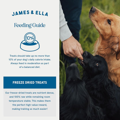 James & Ella Freeze-Dried Dog Treats (40g) ❘ Delicious Country Game Freeze-Dried Dog Treats, Packed with Protein, Essential Oils & Minerals for Happy, Healthy Dogs, Lightweight & Gluten Free - Sayby’s