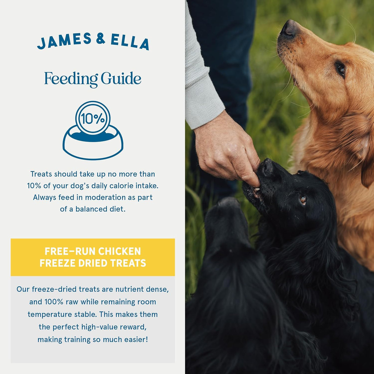 James & Ella Freeze-Dried Dog Treats (40g) ❘ Delicious Country Game Freeze-Dried Dog Treats, Packed with Protein, Essential Oils & Minerals for Happy, Healthy Dogs, Lightweight & Gluten Free - Sayby’s