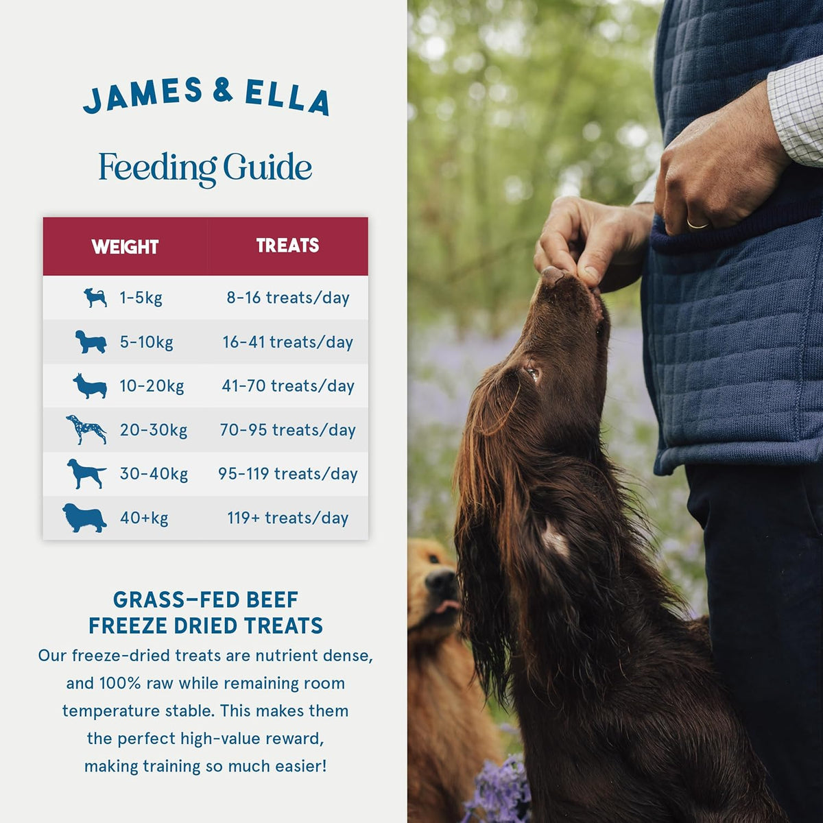James & Ella Freeze-Dried Dog Treats (40g) ❘ Delicious Country Game Freeze-Dried Dog Treats, Packed with Protein, Essential Oils & Minerals for Happy, Healthy Dogs, Lightweight & Gluten Free - Sayby’s