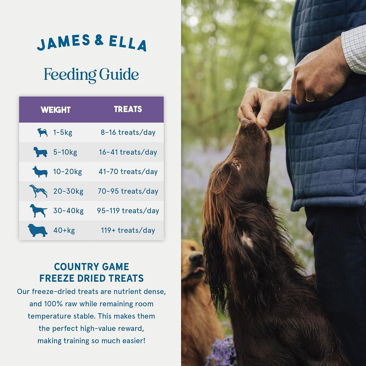 James & Ella Freeze-Dried Dog Treats (40g) ❘ Delicious Country Game Freeze-Dried Dog Treats, Packed with Protein, Essential Oils & Minerals for Happy, Healthy Dogs, Lightweight & Gluten Free - Sayby’s