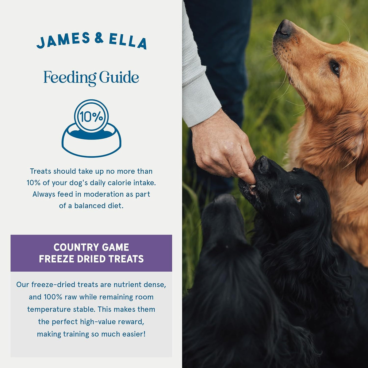James & Ella Freeze-Dried Dog Treats (40g) ❘ Delicious Country Game Freeze-Dried Dog Treats, Packed with Protein, Essential Oils & Minerals for Happy, Healthy Dogs, Lightweight & Gluten Free - Sayby’s