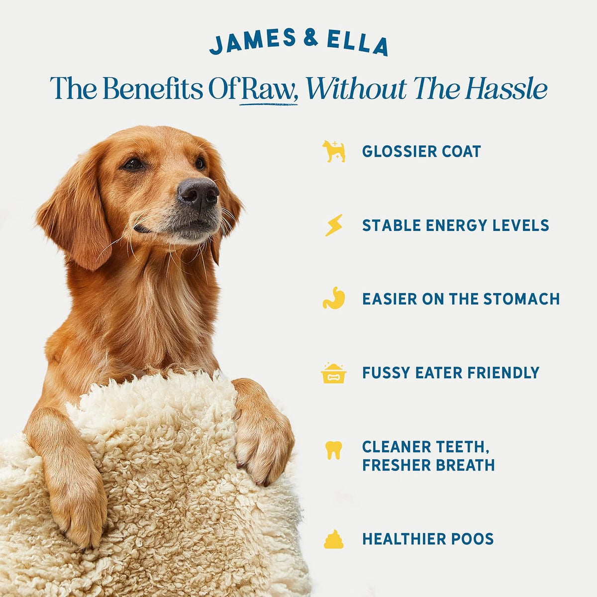 James & Ella Freeze-Dried Dog Treats (40g) ❘ Delicious Country Game Freeze-Dried Dog Treats, Packed with Protein, Essential Oils & Minerals for Happy, Healthy Dogs, Lightweight & Gluten Free - Sayby’s