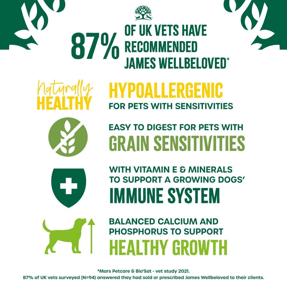 James Wellbeloved Dog Adult Hypoallergenic Dry Food Grain Free - Sayby’s
