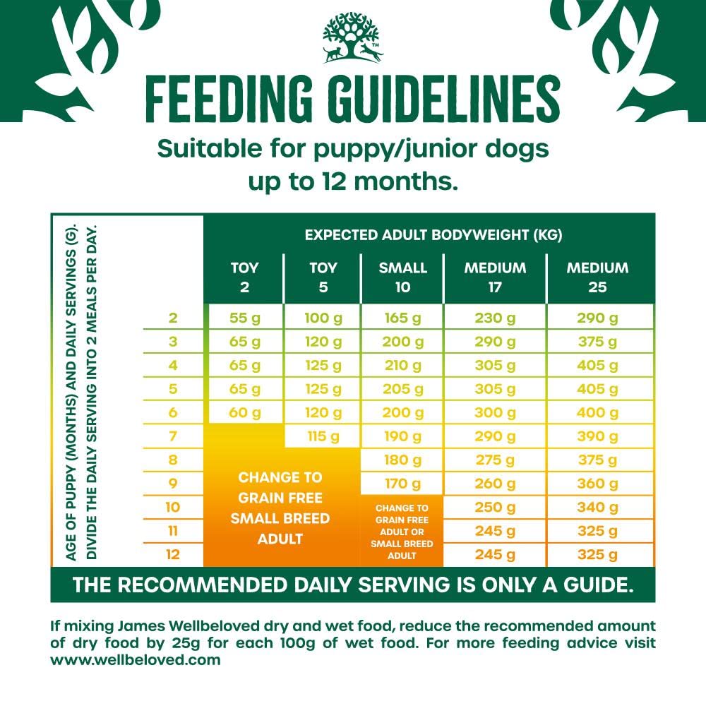 James Wellbeloved Dog Adult Hypoallergenic Dry Food Grain Free - Sayby’s