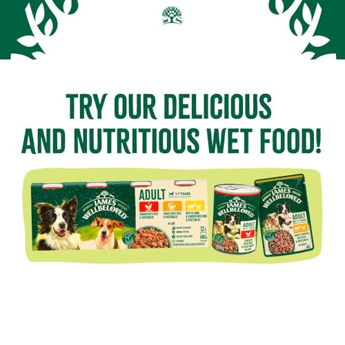 James Wellbeloved Dog Adult Hypoallergenic Dry Food Grain Free - Sayby’s
