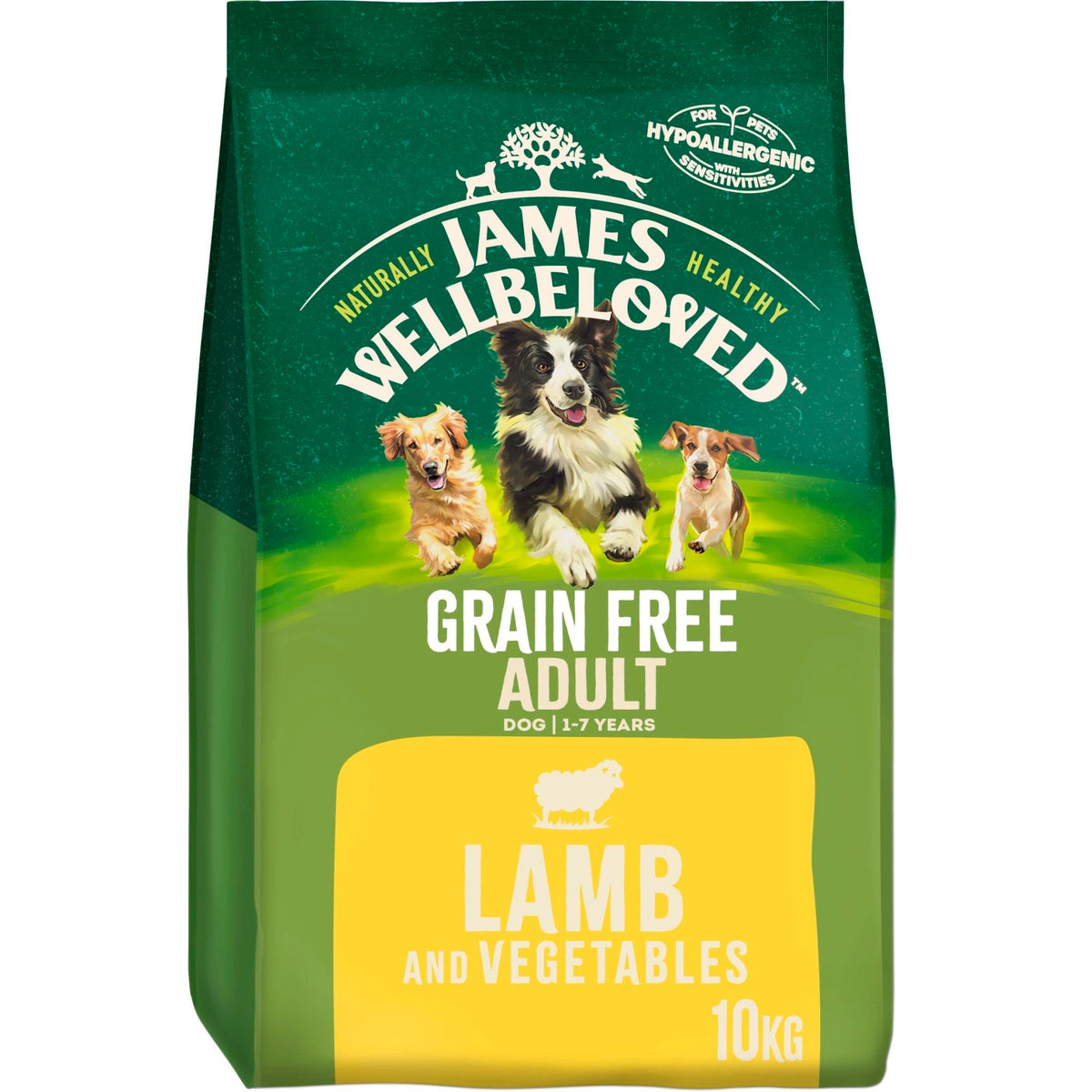 James Wellbeloved Dog Adult Hypoallergenic Dry Food Grain Free - Sayby’s