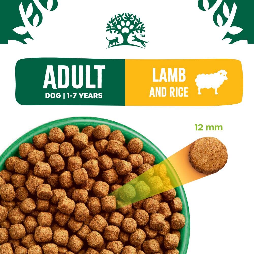 JAMES WELLBELOVED - Hypoallergenic Adult Dry Dog Food - 15 kg - Turkey & Rice - Bulk Dog Food Pack - Sayby’s