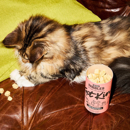 KatKin Salmon Nibbles (50g Tube) - 100% Fresh Fillet Freeze-Dried Cat Treats Made in the UK for Cats and Kittens - Sayby’s