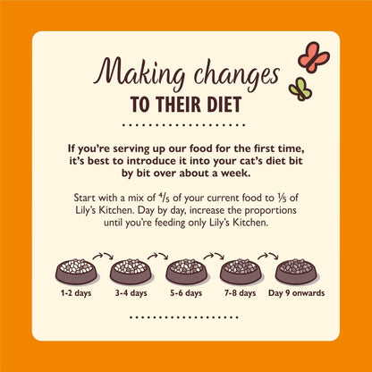 Lily's Kitchen Made with Natural Ingredients Adult Dry Cat Food Bag Grain-Free Recipe - Sayby’s