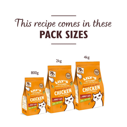 Lily's Kitchen Made with Natural Ingredients Adult Dry Cat Food Bag Grain-Free Recipe - Sayby’s