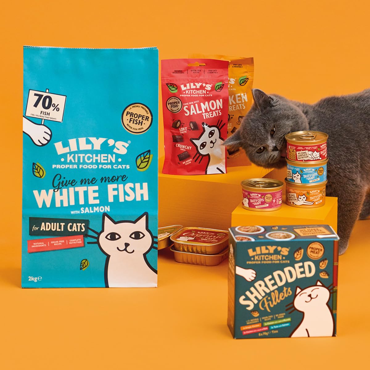 Lily's Kitchen Made with Natural Ingredients Adult Dry Cat Food Bag Grain-Free Recipe - Sayby’s